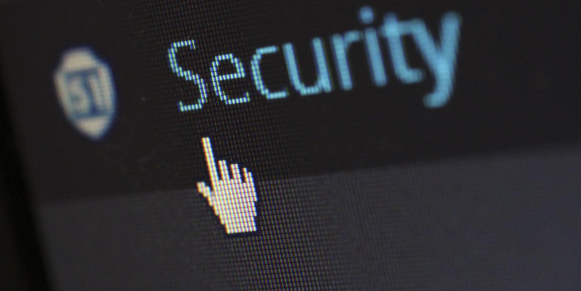 SECURITY SERVICES SECURITY SERVICES